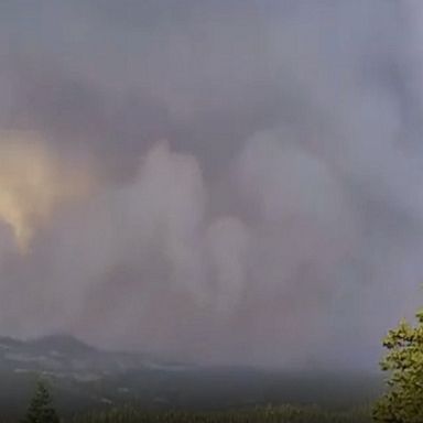 The Hog Fire has grown to more than 12,000 acres in Lassen County, California.