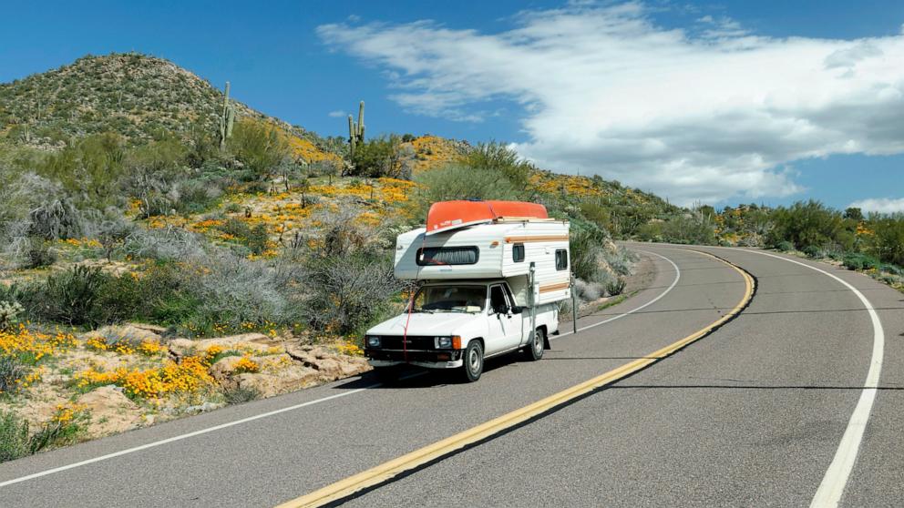 PHOTO: An old truck with a bed camper and canoe cruises down North Lake Road at Bartlett Lake Recreation Area during the spring poppy bloom in the Tonto National Forest, Arizona.