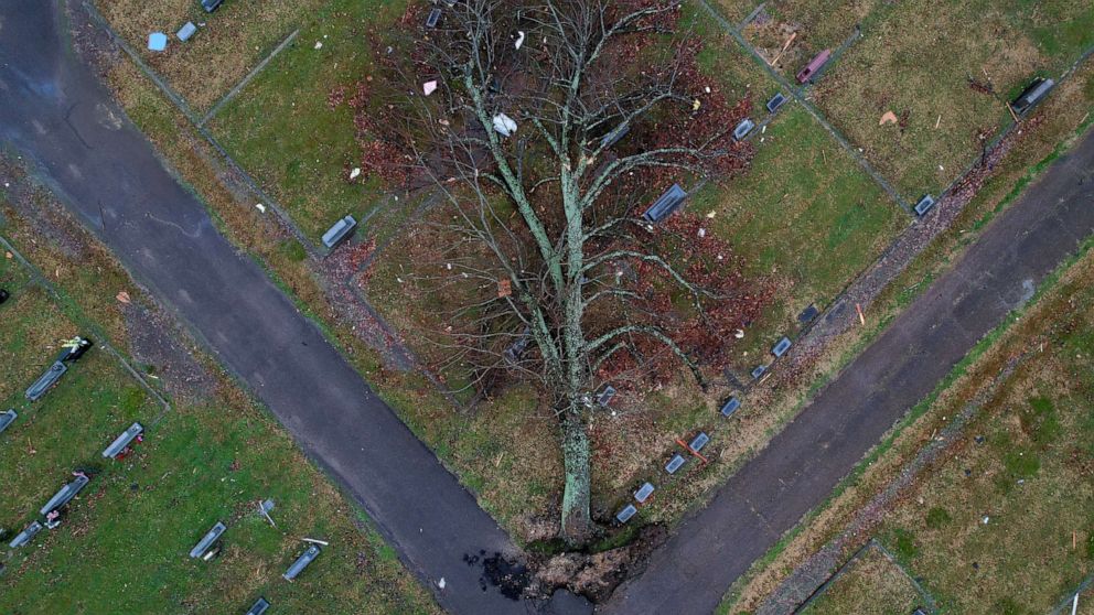 PHOTO: An aerial view of a fallen tree in a graveyard after a devastating outbreak of tornadoes ripped through several U.S. states, in Mayfield, Ky., Dec. 17, 2021. 