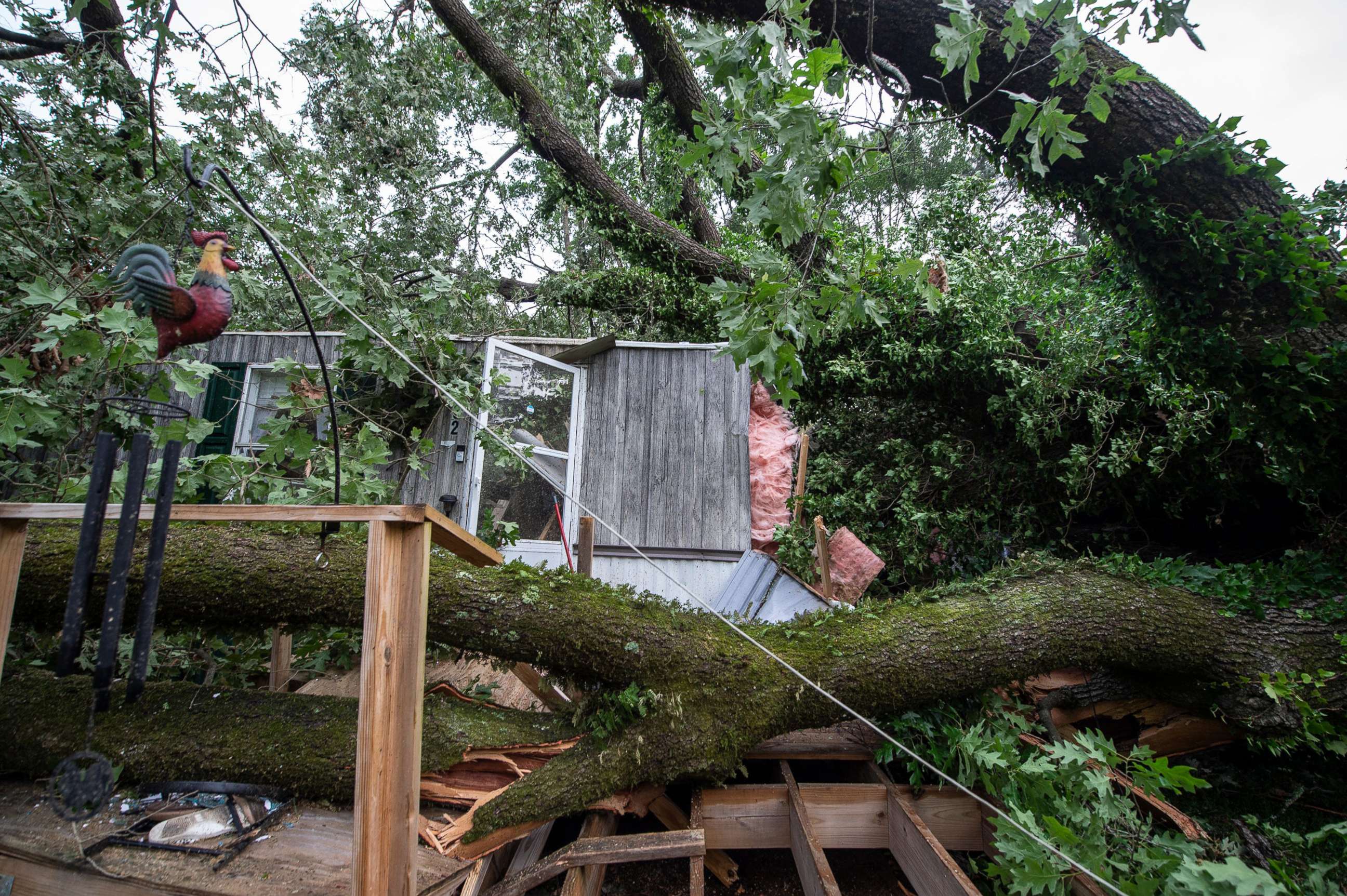 PHOTO:A fallen tree caused severe damage to a home on Meadow Lane in Byram, Miss., May 3, 2021, after a tornado touched down in the area Sunday night.