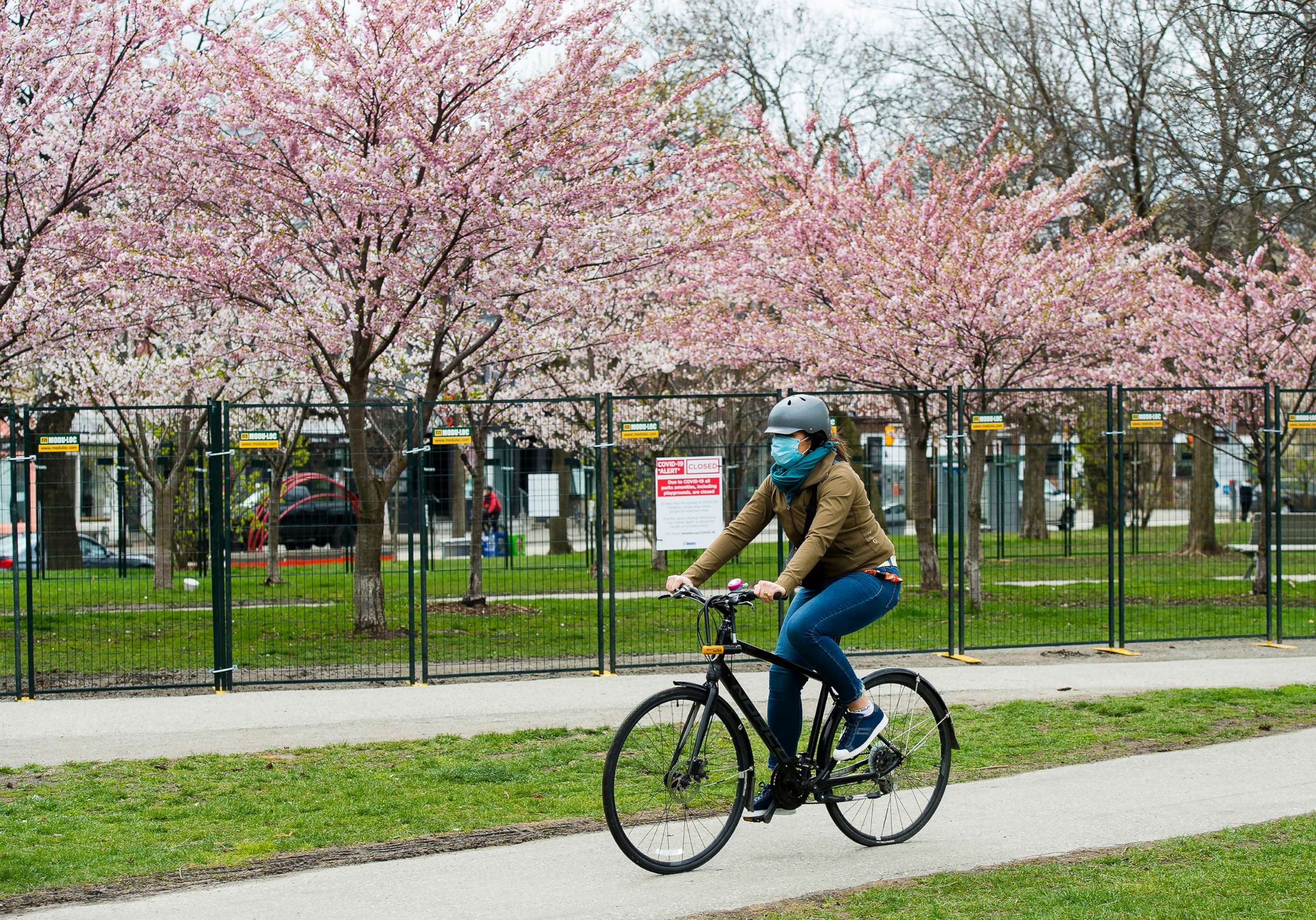 PHOTO: A person rides her bicycle past fenced off cherry blossoms at a park during the COVID-19 pandemic in Toronto, May 1, 2020.