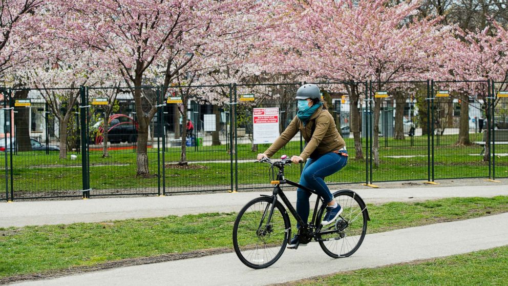 PHOTO: A person rides her bicycle past fenced off cherry blossoms at a park during the COVID-19 pandemic in Toronto, May 1, 2020.