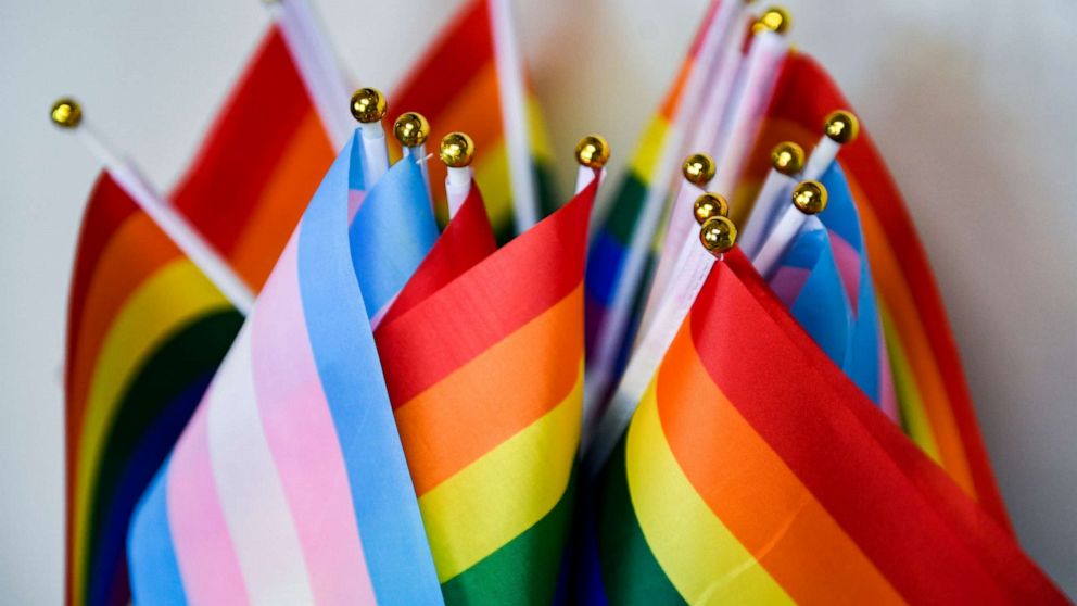 PHOTO: A detail photo of a collection of small Pride Flags and Transgender Pride Flags.