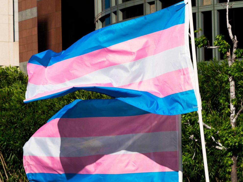 PHOTO: Trans pride flags flutter in the wind at a gathering to celebrate  International Transgender Day of Visibility, March 31, 2017, in Los Angeles.
