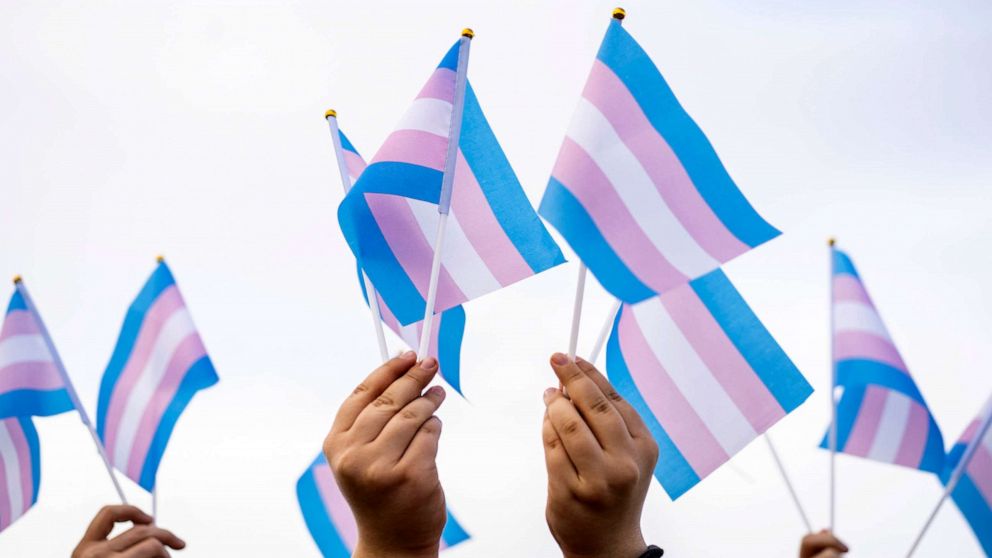 PHOTO: FILE - Transgender flags hold by people on a demonstration