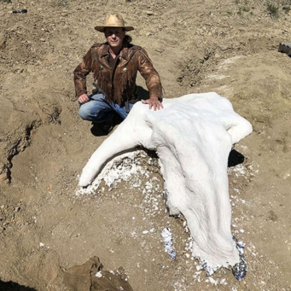 PHOTO: Mayville State University biology professor Michael Kjelland poses next to a Triceratops skull found in the Badlands of North Dakota in June 2019.