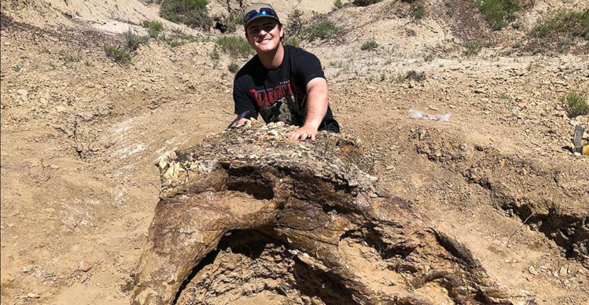 PHOTO: Fifth-year UC Merced biology student Harrison Duran found a Triceratops skulls during a dig Badlands of North Dakota in June 2019.