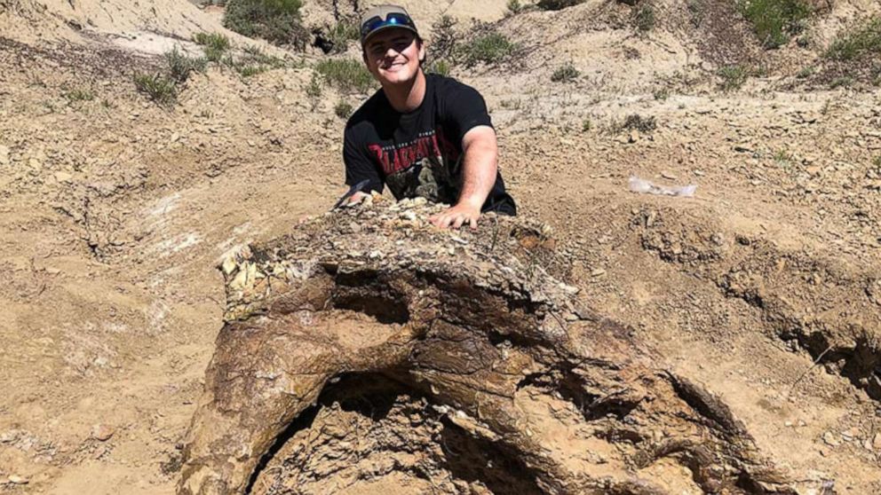 VIDEO: Student helps discover 65 million-year-old Triceratops skull