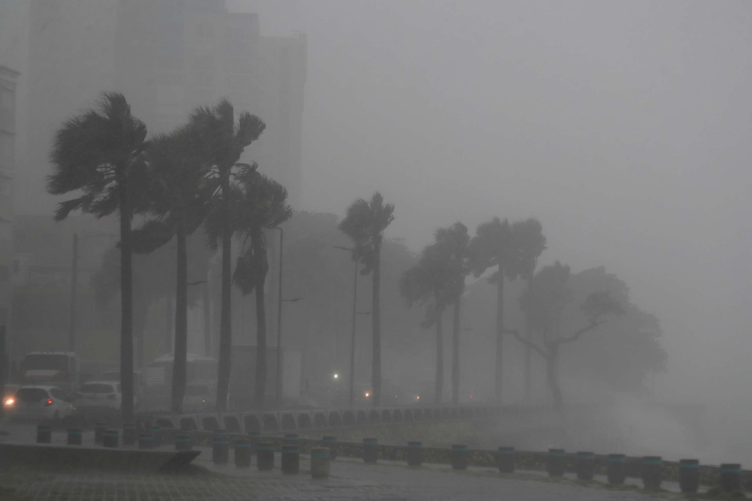 PHOTO: Palm trees sway in the wind and rain during the passage of Tropical Storm Fred in Santo Domingo, Dominican Republic August 11, 2021. REUTERS/Ricardo Rojas