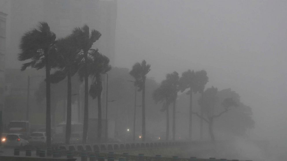 PHOTO: Palm trees sway in the wind and rain during the passage of Tropical Storm Fred in Santo Domingo, Dominican Republic August 11, 2021. REUTERS/Ricardo Rojas