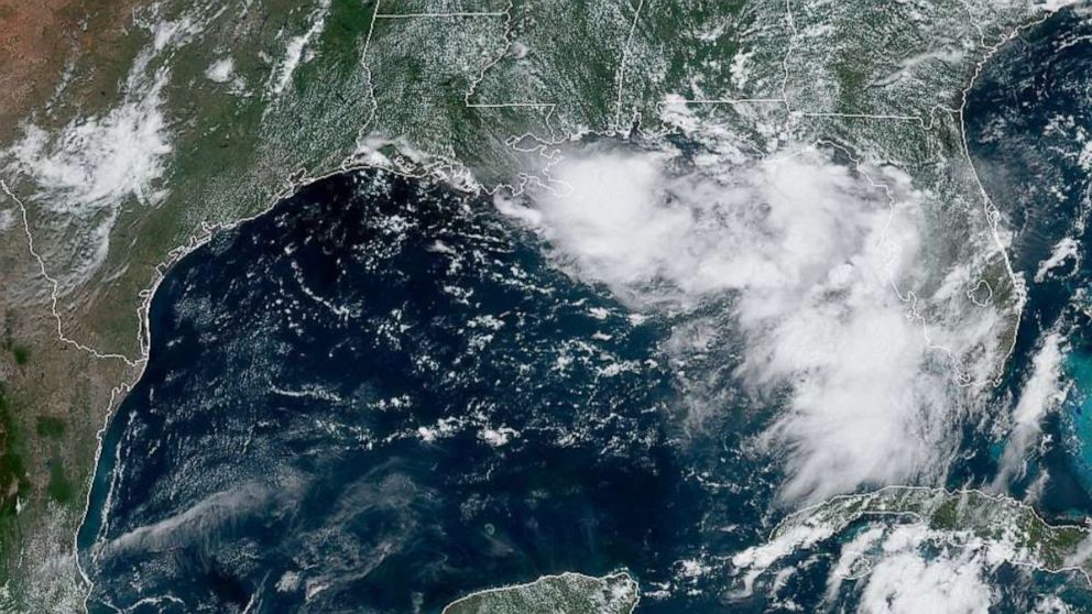 PHOTO: Satellite imagery of the Gulf Of Mexico region on July 9, 2019.