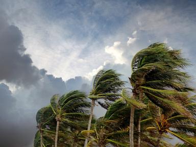 Tropical Storm Bertha forms off the Florida coast, prompting storm alerts