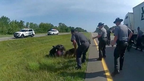 K-9 officer put on leave after police dog attacks surrendering suspect - Vimarsana News