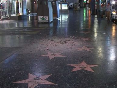 Trump's Hollywood Walk of Fame star vandalized