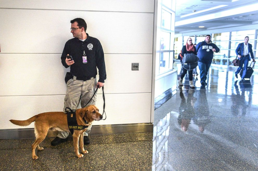 PHOTO: Douglas Timberlake, with the Transportation Security Administration and bomb-sniffing dog, Rriverso, prepare to demonstrate their work at National Airport in Arlington, Va., Dec. 29, 2015.