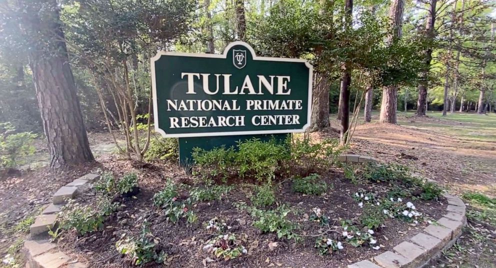 PHOTO: The Tulane National Primate Research Center in Covington, Louisiana, is part of a network of seven national nonhuman primate research centers across the United States.