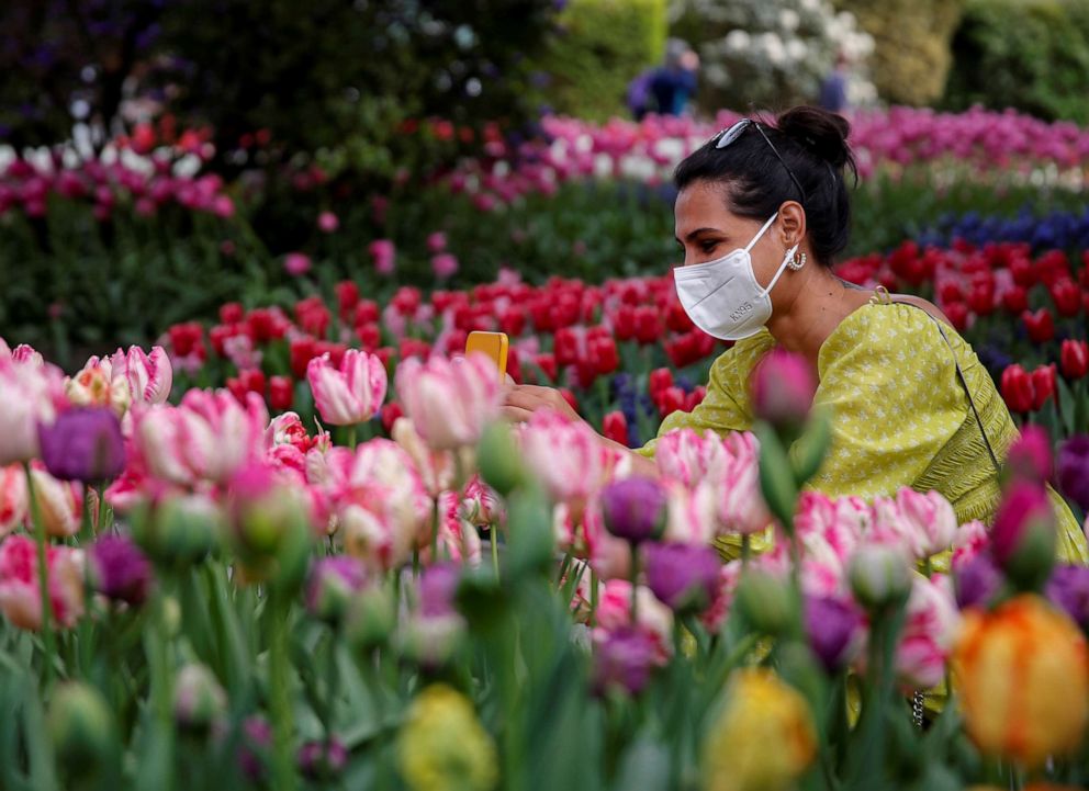 PHOTO: Sindhu Priya takes photos of flowers at the RoozenGaarde display garden during the Skagit Valley Tulip Festival, which was canceled last year due to the COVID-19 outbreak, in Mount Vernon, Wash., April 23, 2021. 