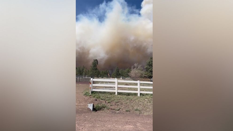 Nearly 800 homes, 1,000 animals evacuated from Tunnel Fire in Arizona