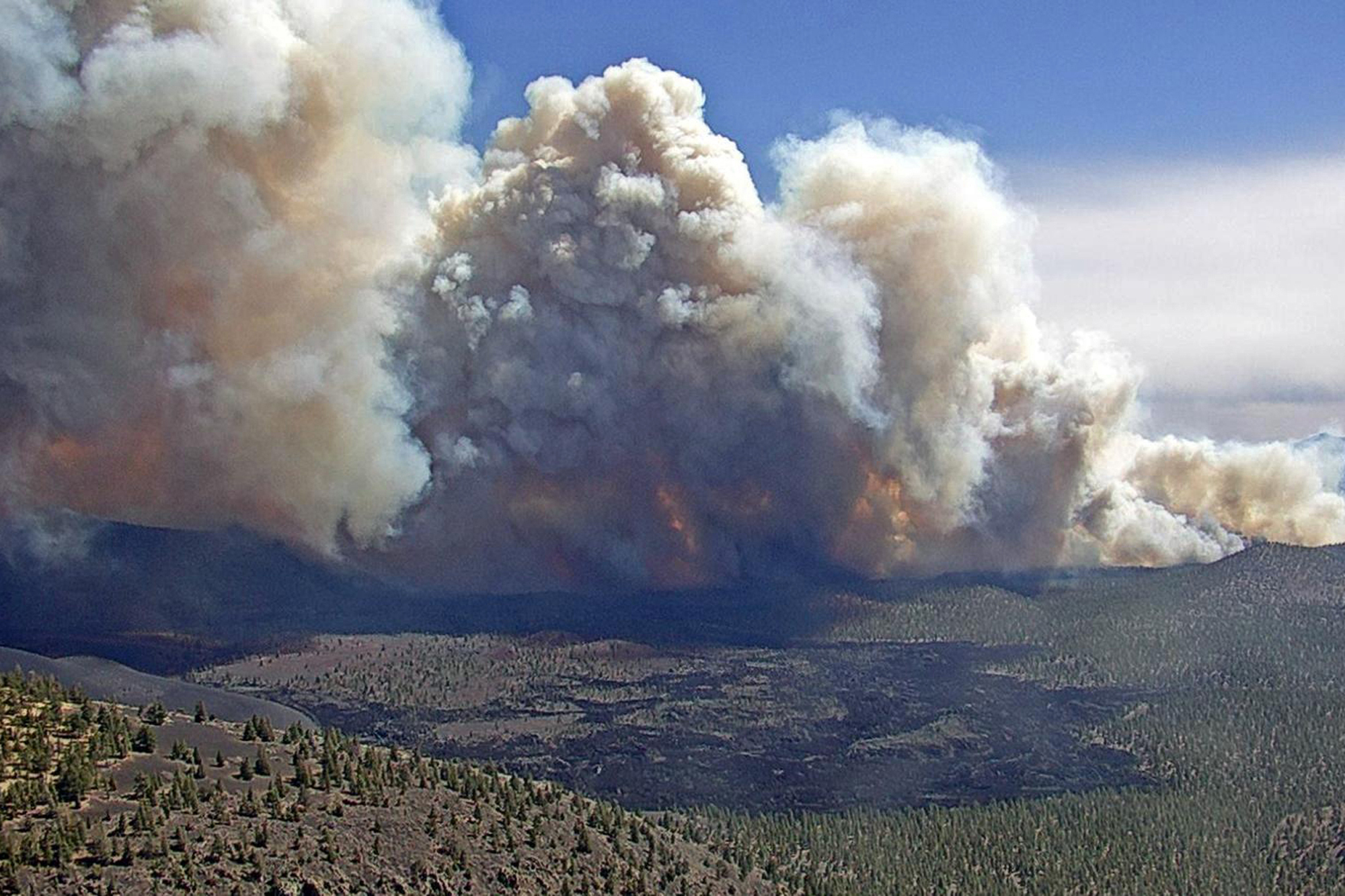 PHOTO: In this photo provided by the Coconino National Forest, the Tunnel Fire burns near Flagstaff, Ariz., April 19, 2022.