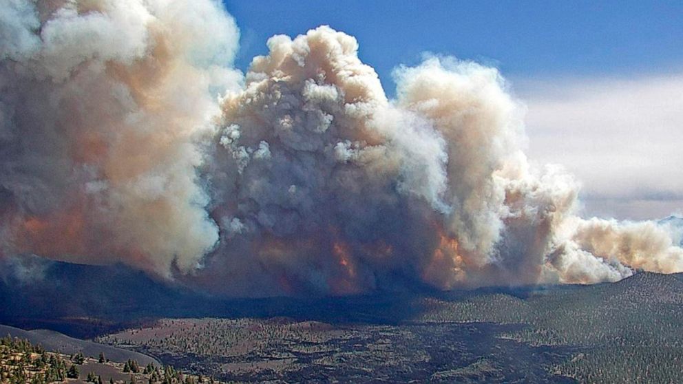 PHOTO: In this photo provided by the Coconino National Forest, the Tunnel Fire burns near Flagstaff, Ariz., April 19, 2022.