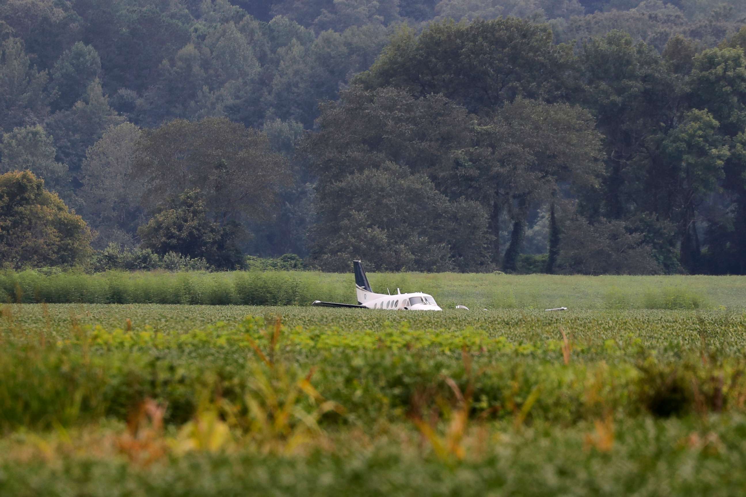 PHOTO: A stolen airplane rests in a field of soybeans after crash-landing near Ripley, Miss., Sept. 3, 2022.