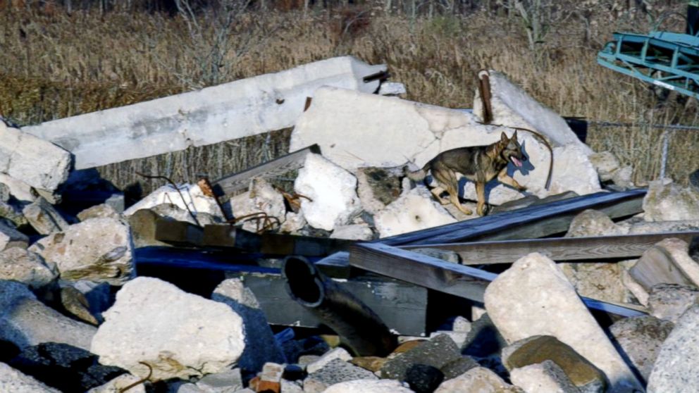 PHOTO: Tuz searches for victims at the rubble pile in Staten Island, N.Y.