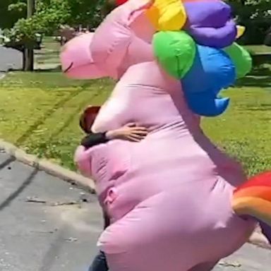 A grandma wore a pink unicorn costume so she could hug her grandchildren for the first time in two months.