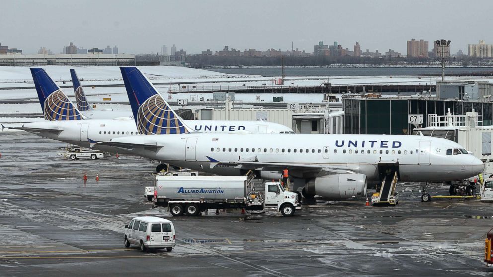 VIDEO: United Airlines vows to make changes after puppy dies in overhead bin 