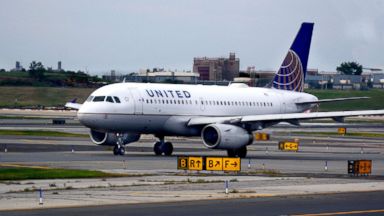 Dog Dies On United Flight After Being Placed In Overhead Bin Airline Confirms Abc News,Funny Live Laugh Love Signs