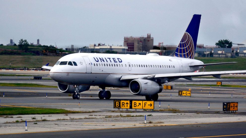 VIDEO: United Airlines vows to make changes after puppy dies in overhead bin 