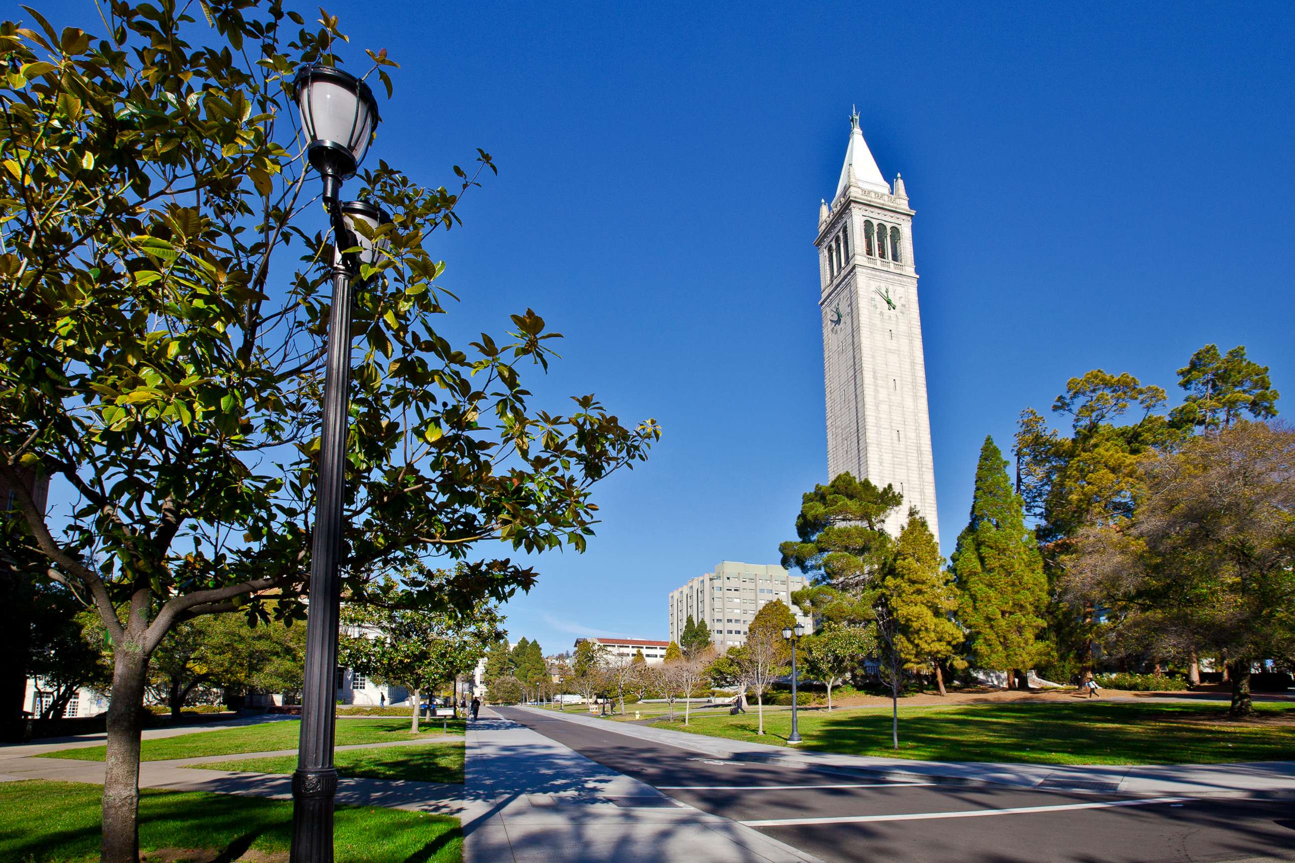 PHOTO: The University of California, Berkeley is seen here in this undated stock photo.