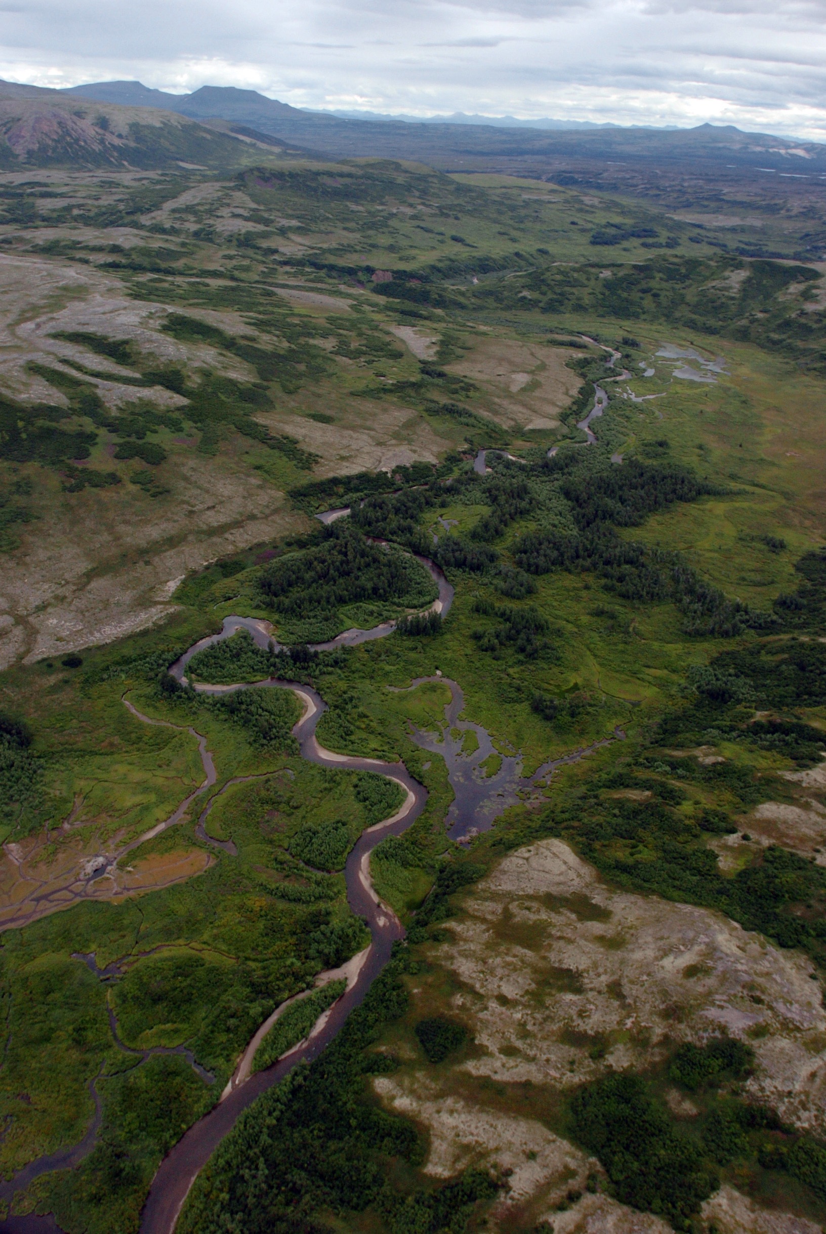 PHOTO: The Upper Talarik River's head waters are near the proposed Pebble Mine site in the Iliamna Lake area of the Alaska Peninsula.