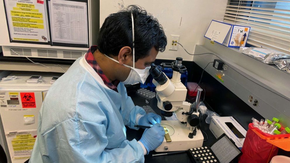 PHOTO: A researcher works on coronavirus vaccine development at the Walter Reed Army Institute of Research in Silver Spring, Md., April 28, 2020.