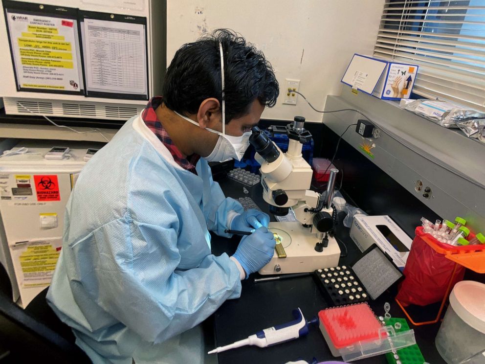 PHOTO: A researcher works on coronavirus vaccine development at the Walter Reed Army Institute of Research in Silver Spring, Md., April 28, 2020.