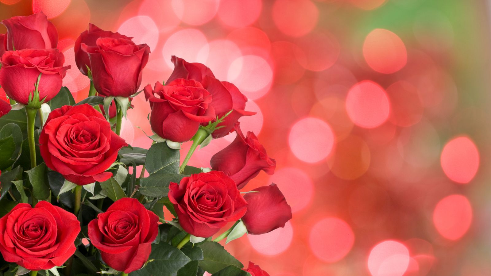 Valentines Day by the numbers Americans expected to spend $196