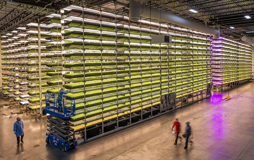 PHOTO: AeroFarms is a vertical farming company that aims to produce fresh vegetables while minimizing its impact on the earth's natural resources. Four of its nine facilities are located in Newark, New Jersey.