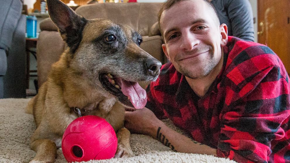 VIDEO: Army veteran reunites with dog he worked with in Afghanistan