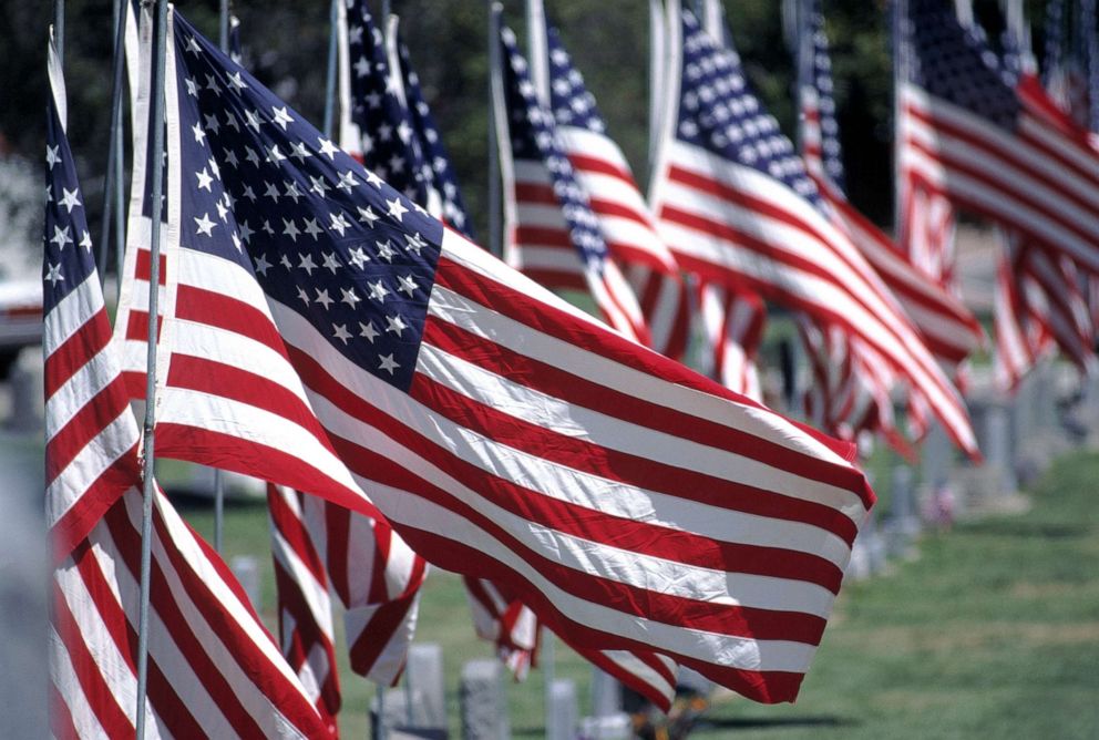 PHOTO: Veterans Day, flags at a graveyard.