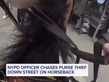 Operational Mechanics of Mounted Law Enforcement in High Density Urban Pursuit