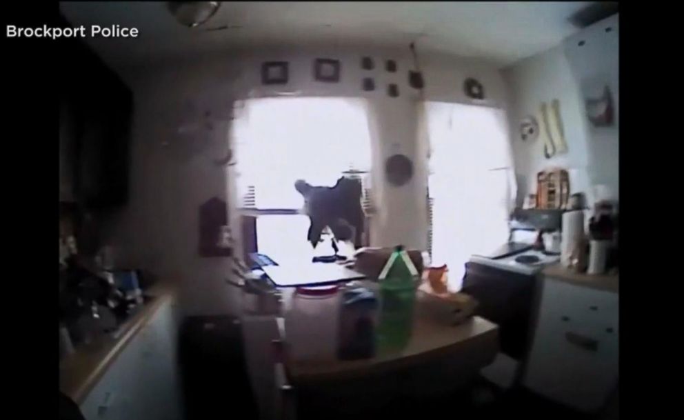 PHOTO: A cookie-stealing squirrel was caught on video lunging at an officer responding to a home in Brockport, N.Y., Dec. 29, 2017. 