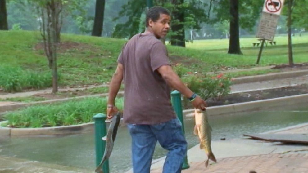 PHOTO: Fish in Newark, N.J. had to be rescued because they tried to swim up the street after rain caused a lake to overflow. 