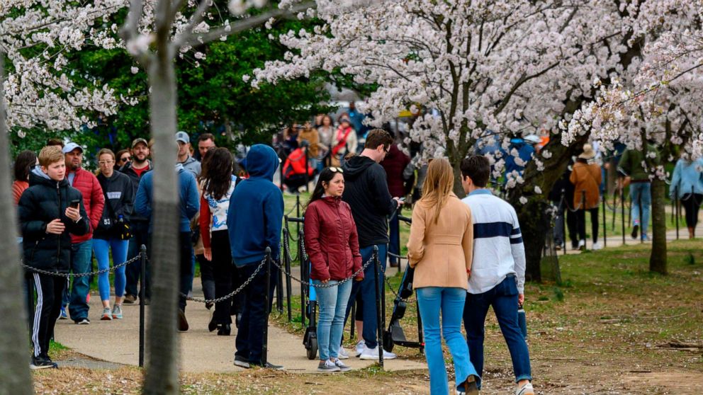 PHOTO: Locals and tourists walk around the tidal basin to see this years cherry blossoms despite the outbreak of novel coronavirus and the social distancing recommendations by the authorities on March 21, 2020, in Washington.