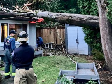 Bomb cyclone impacts West Coast, 1 dead in Washington state