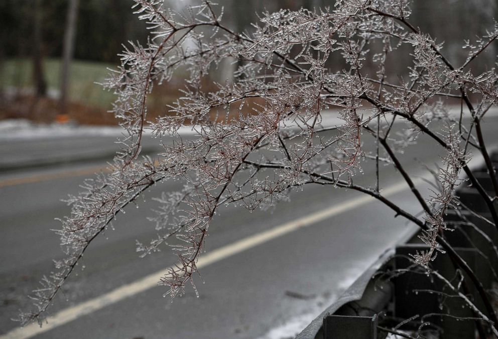 PHOTO: Ice forms on branches during the inclement weather in Rutland, Mass., Dec. 30, 2019. A combination of freezing rain and snow has hit parts of northern New England.