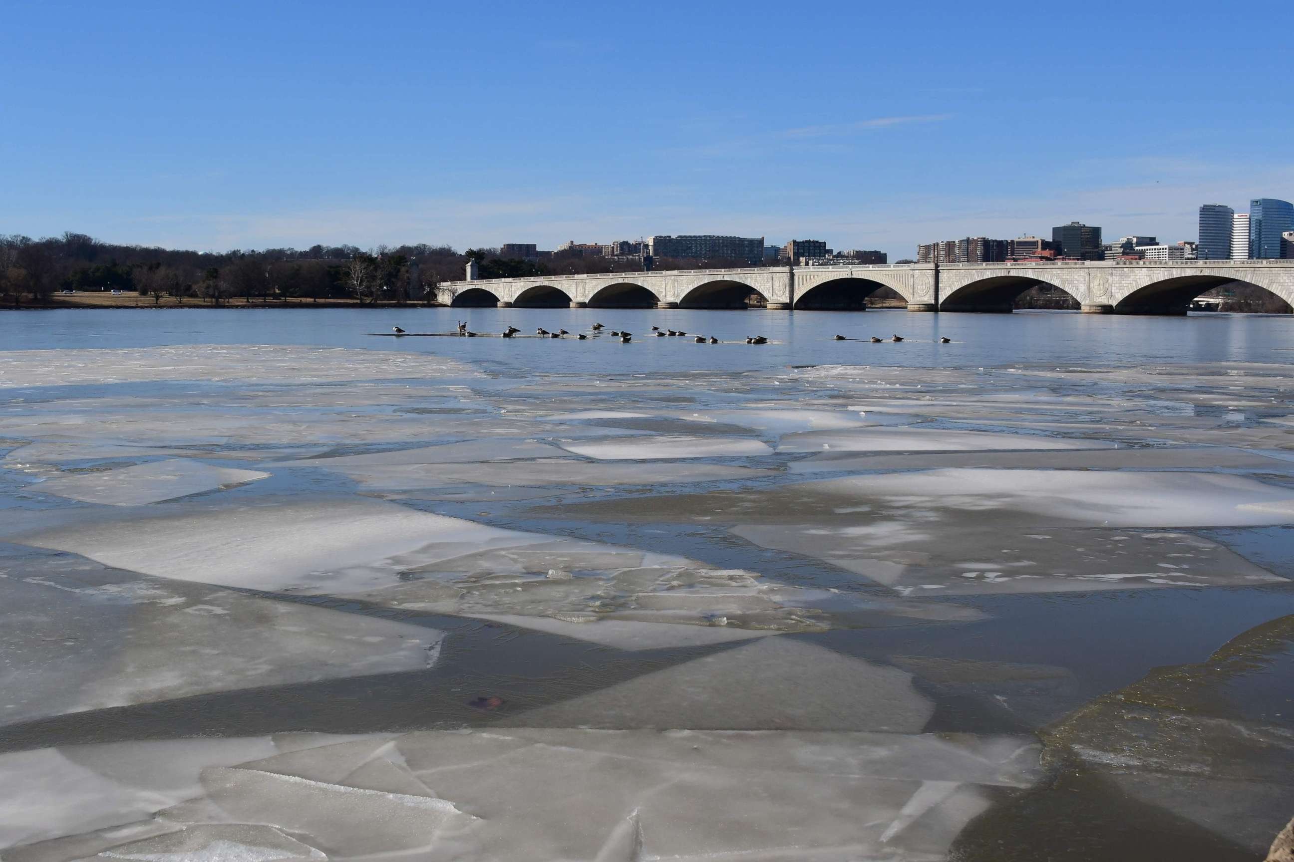 PHOTO: Birds rest on an ice patch on the Potomac River near the Memorial Bridge in Washington, D.C., Jan. 20, 2018.