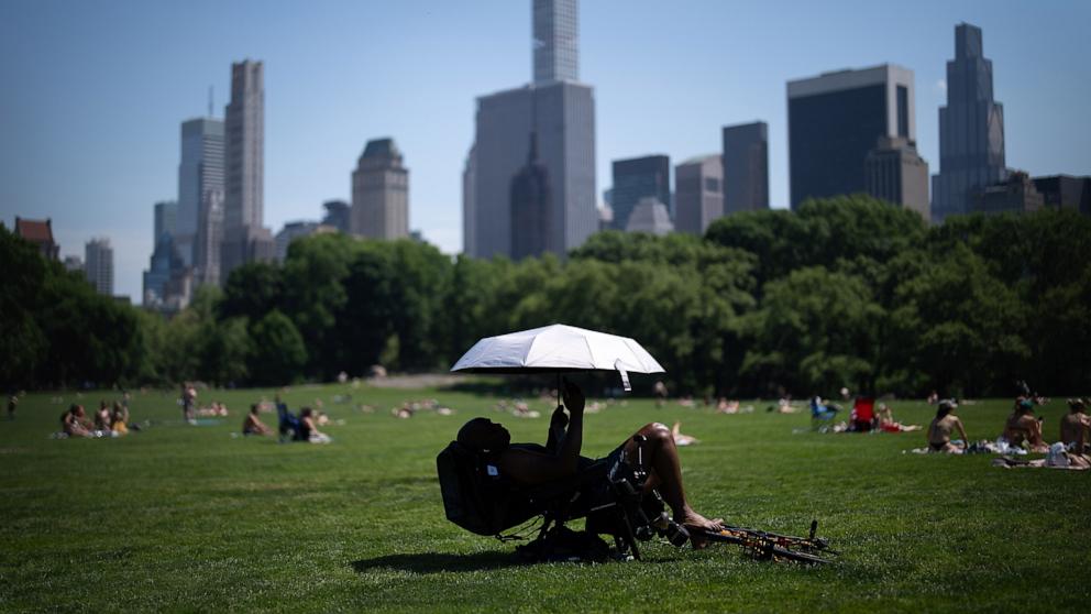 PHOTO: A person uses an umbrella to shield themselves from the sun during a heat advisory in Central Park, May 19, 2026, in New York.