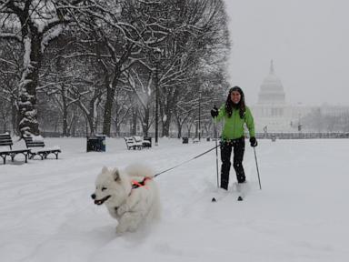 Cold weather alerts from New Mexico to Florida, with another winter storm expected