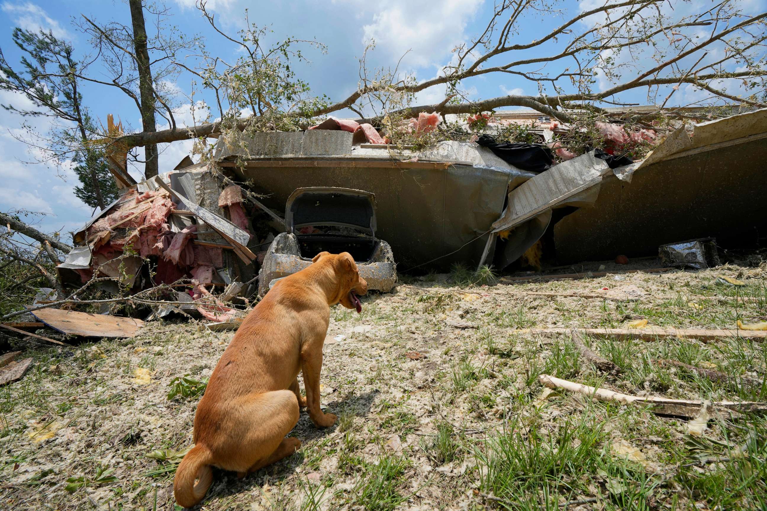 PHOTO: A family dog sits in front of what is left of its home following an apparent Sunday night tornado that swept through the small community of Louin, Miss., June 19, 2023.