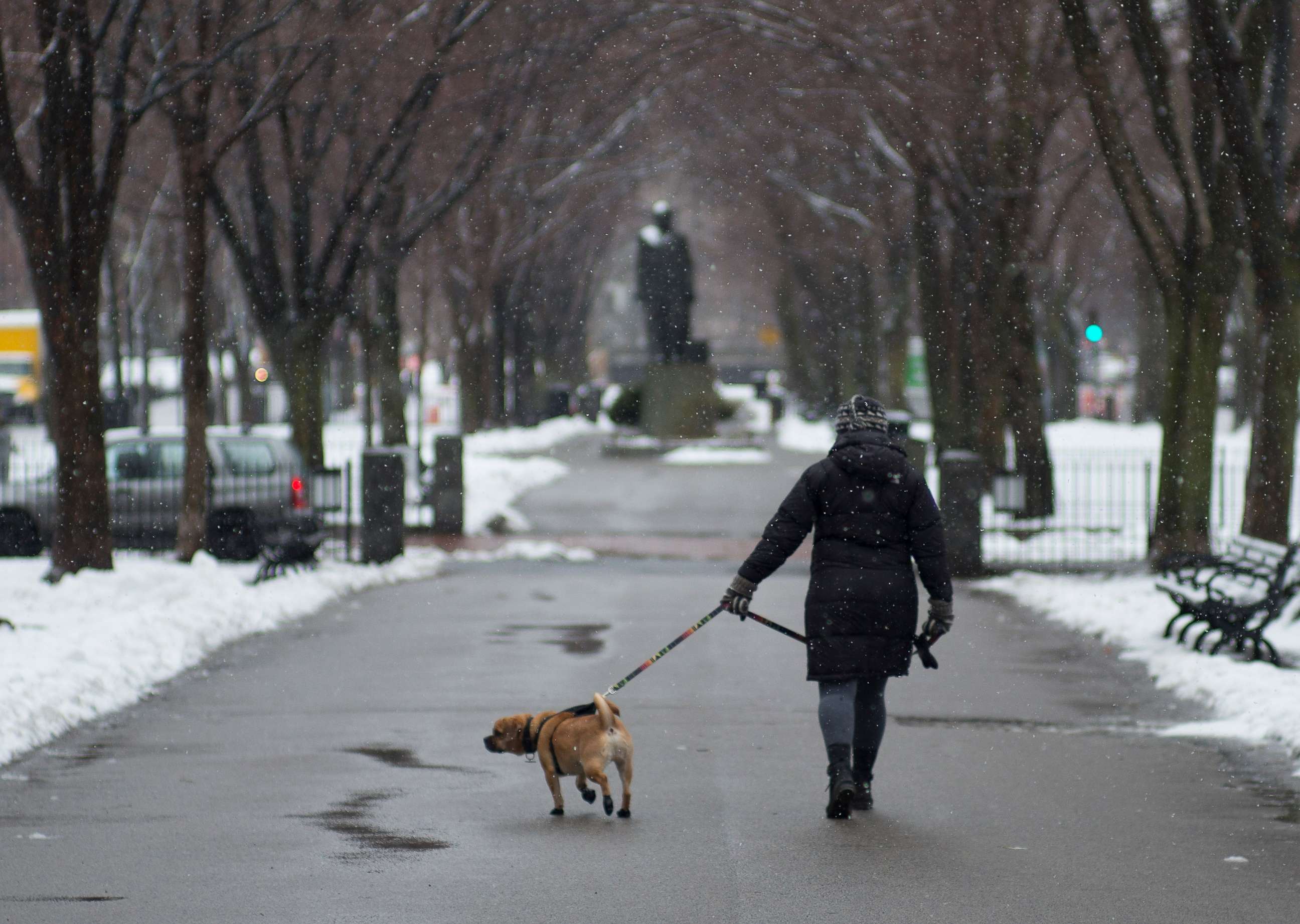 PHOTO: A woman walks a dog along the Commonwealth Mall in Boston, March 22, 2018.