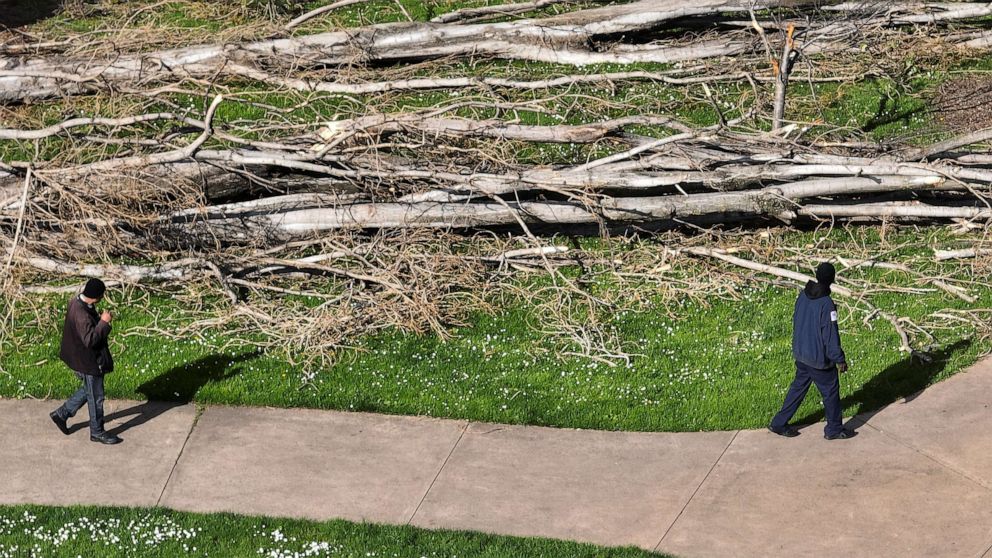 PHOTO: In an aerial view, two people look at trees that fell in a park on March 23, 2023 in San Francisco.
